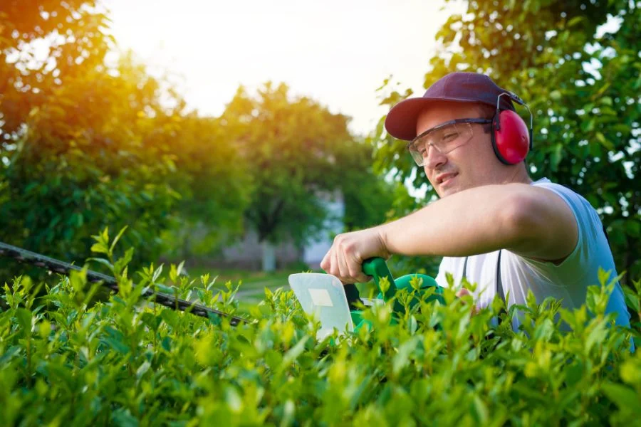 empreender em jardinagem e paisagismo