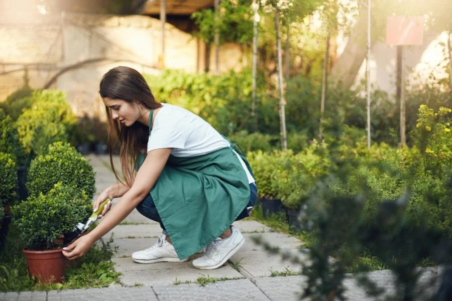 empreender em jardinagem e paisagismo