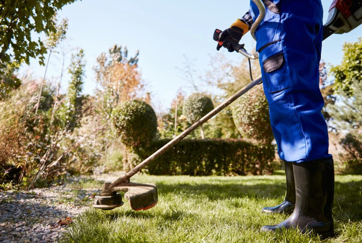 empreender em jardinagem e paisagismo