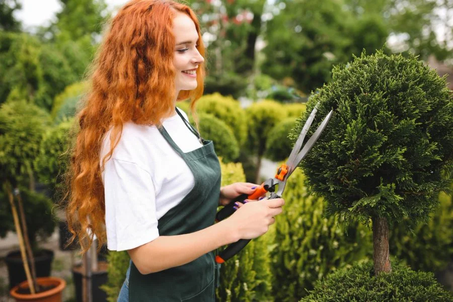 empreender em jardinagem e paisagismo