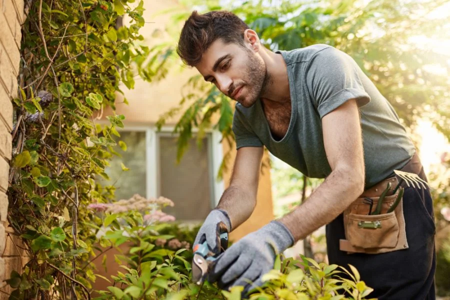 empreender em jardinagem e paisagismo